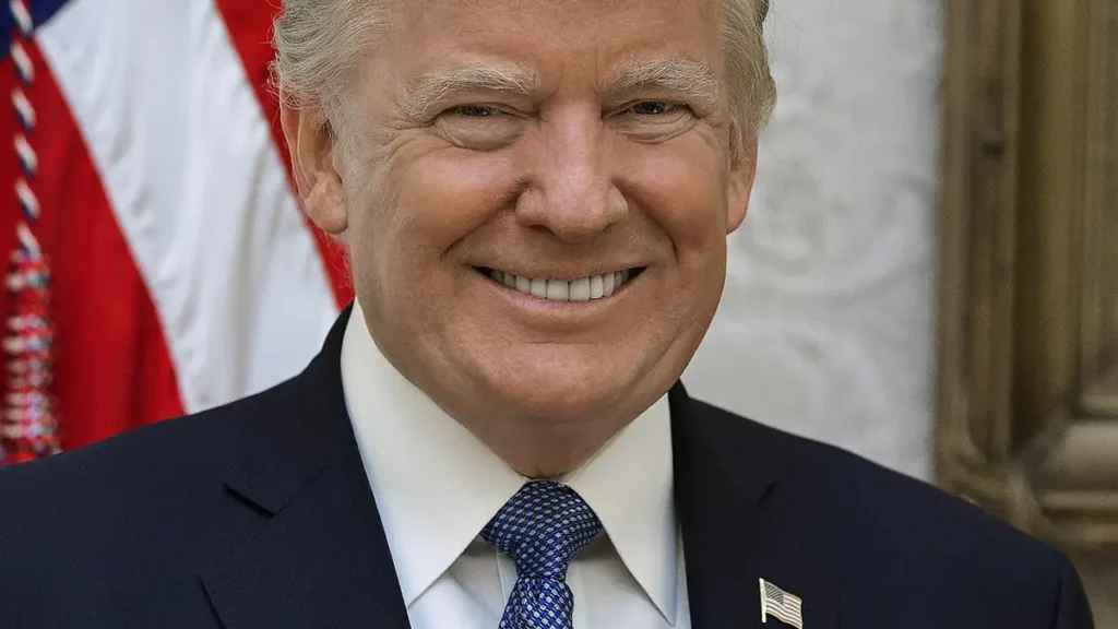 Official portrait of Donald Trump in a dark suit and blue tie before an American flag.