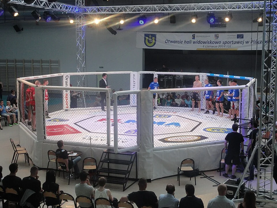 Close-up perspective of the vinyl-coated cage fencing and canvas mat inside an empty mixed martial arts arena