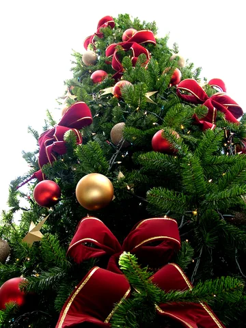 Close-up photograph of an evergreen pine branch adorned with golden holiday ornaments and illuminated fairy lights