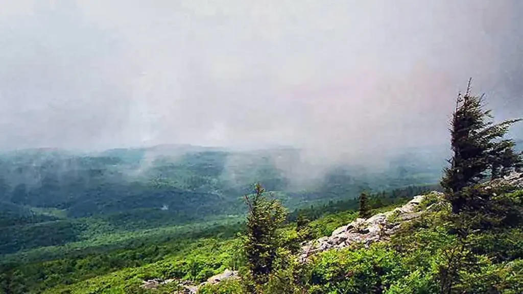 Spruce Knob summit in West Virginia showing the forested landscape that draws dark sky tourists to the region